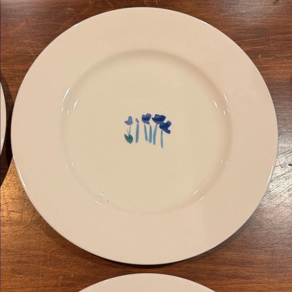 NEW Crate&Barrel Anna’a Artistry Floral Flowers 8 1/2” Plates Set of 4 Salad EXC